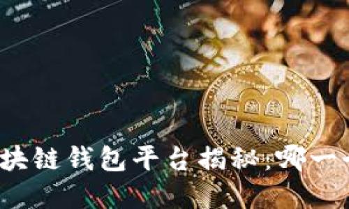 全球最大区块链钱包平台揭秘：哪一个最受欢迎？