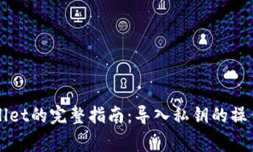 火币提币到TPWallet的完整指南：导入私钥的操作步骤与注意事项