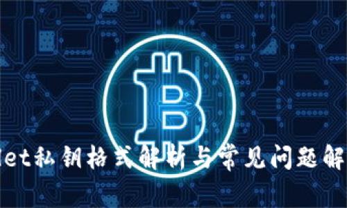 tpwallet私钥格式解析与常见问题解决指南