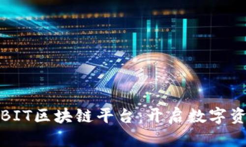 深入解析BIT区块链平台：开启数字资产新时代