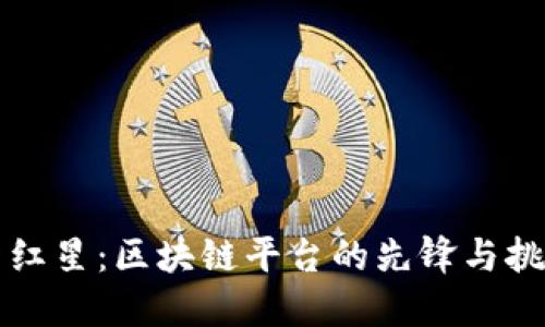 新红星：区块链平台的先锋与挑战