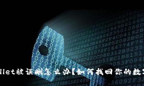 TP Wallet被误删怎么办？如何找回你的数字资产！