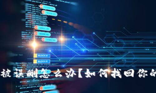 TP Wallet被误删怎么办？如何找回你的数字资产！