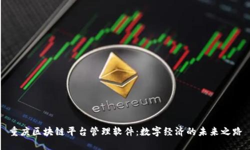 重庆区块链平台管理软件：数字经济的未来之路