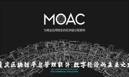 重庆区块链平台管理软件：数字经济的未来之路
