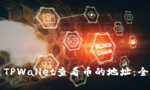 如何使用TPWallet查看币的地址：全方位指南