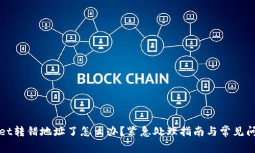 TPWallet转错地址了怎么办？紧急处理指南与常见问题解答