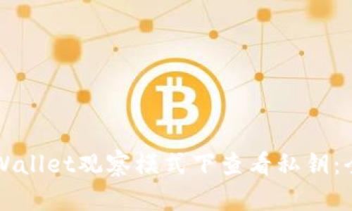 如何在TPWallet观察模式下查看私钥：全方位指南