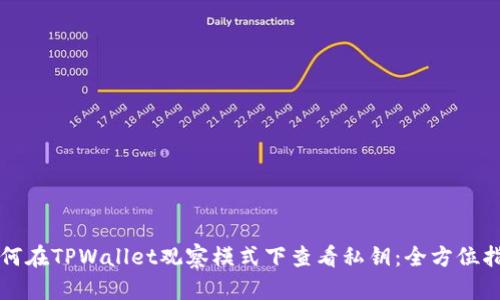 如何在TPWallet观察模式下查看私钥：全方位指南