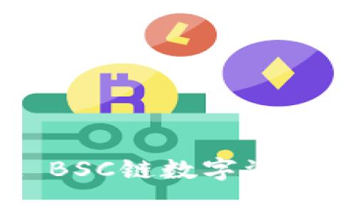 如何找回丢失的TPWallet BSC链数字资产？实用指南与常见问题解答