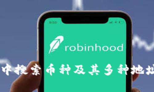 如何在TPWallet中搜索币种及其多种地址信息的全面指南