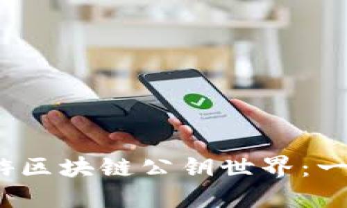 解密函证，畅游区块链公钥世界：一次深入的探索
