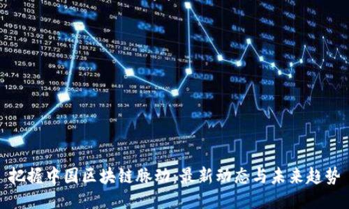 把握中国区块链脉动：最新动态与未来趋势