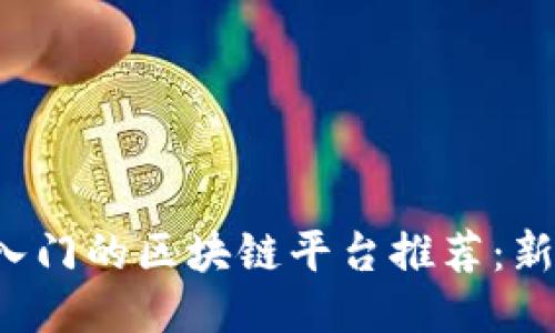 最适合入门的区块链平台推荐：新手必看！