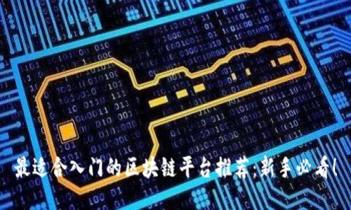 最适合入门的区块链平台推荐：新手必看！