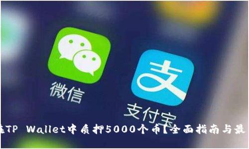 如何在TP Wallet中质押5000个币？全面指南与最佳实践