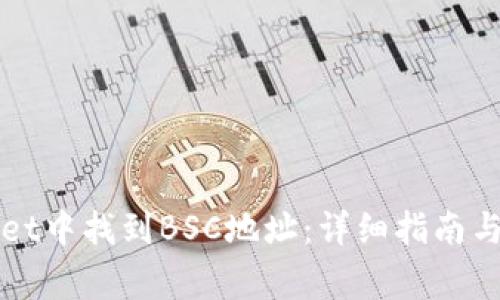 如何在TPWallet中找到BSC地址：详细指南与常见问题解答