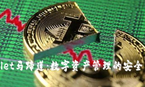 TPWallet马蹄莲：数字资产管理的安全新趋势