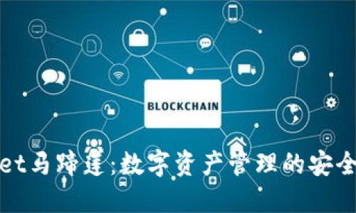 TPWallet马蹄莲：数字资产管理的安全新趋势
