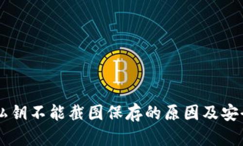 TPWallet私钥不能截图保存的原因及安全隐患解析