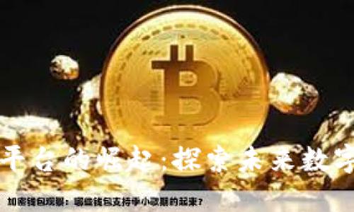 全国最大区块链平台的崛起：探索未来数字经济的无限可能