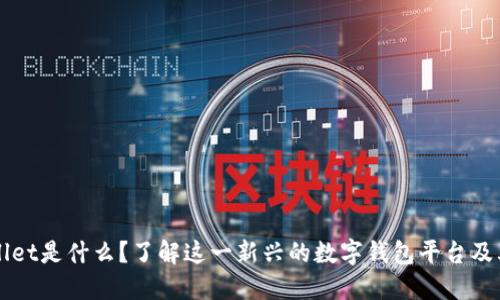 TPWallet是什么？了解这一新兴的数字钱包平台及其功能