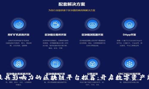 全球最具影响力的区块链平台推荐：开启数字资产新时代