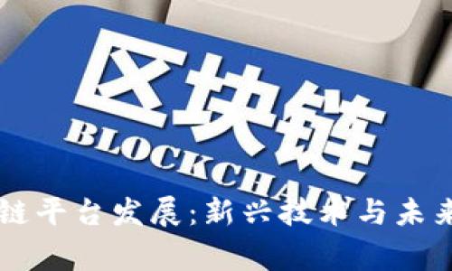 国家启动区块链平台发展：新兴技术与未来经济的交汇点
