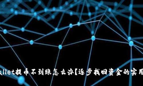 TPWallet提币不到账怎么办？逐步找回资金的实用指南