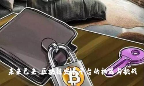 未来已来：区块链发展平台的机遇与挑战