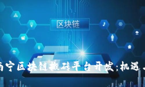 全面解析南宁区块链搬砖平台开发：机遇与挑战并存
