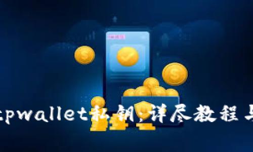 如何找回tpwallet私钥：详尽教程与注意事项