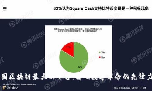 中国区块链最大的平台：解码数字革命的先锋力量