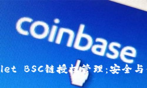 全面解读TPWallet BSC链授权管理：安全与便捷的完美结合