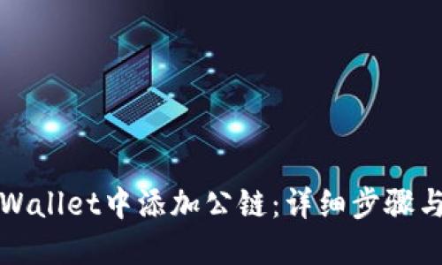 如何在TPWallet中添加公链：详细步骤与实用技巧