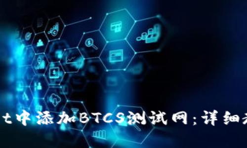 如何在TPWallet中添加BTCS测试网：详细教程与操作指南
