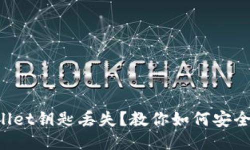 TPWallet钥匙丢失？教你如何安全找回！