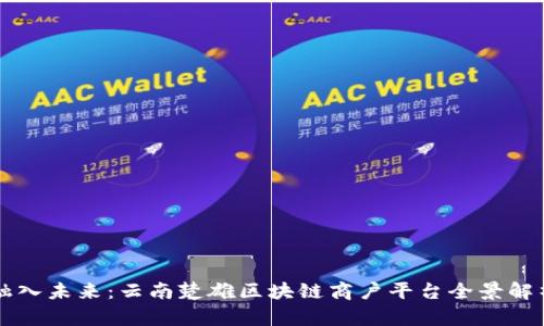 融入未来：云南楚雄区块链商户平台全景解析