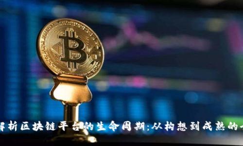 深度解析区块链平台的生命周期：从构想到成熟的全景图