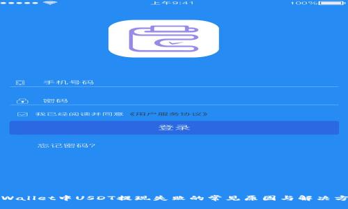 TPWallet中USDT提现失败的常见原因与解决方案