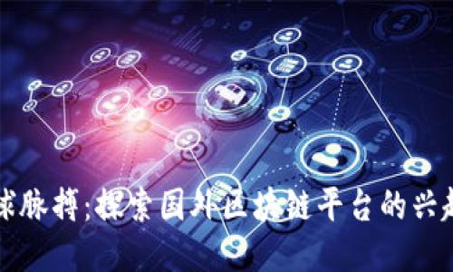 倾听全球脉搏：探索国外区块链平台的兴起与未来