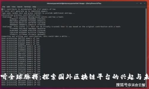 倾听全球脉搏：探索国外区块链平台的兴起与未来