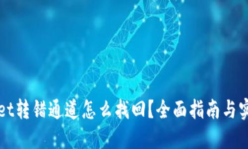 TPWallet转错通道怎么找回？全面指南与实用技巧