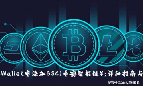 如何在TPWallet中添加BSC（币安智能链）：详细指南与实用技巧