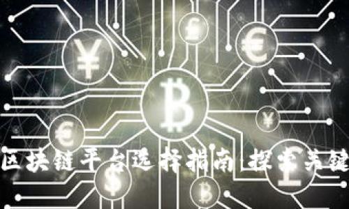 最适合你的区块链平台选择指南：探索关键功能与优势