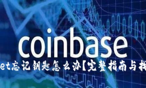 TPWallet忘记钥匙怎么办？完整指南与找回技巧