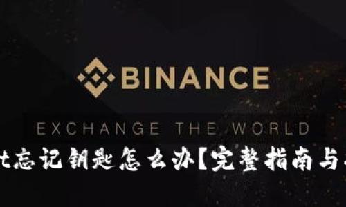 TPWallet忘记钥匙怎么办？完整指南与找回技巧