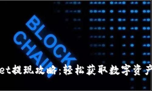 TPWallet提现攻略：轻松获取数字资产的秘密