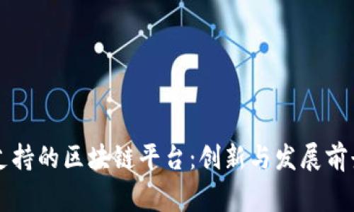 国家支持的区块链平台：创新与发展前景分析