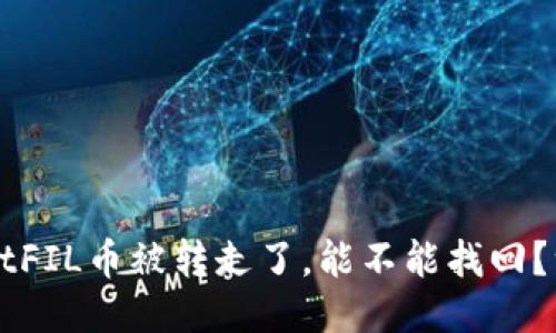 TPWalletFIL币被转走了，能不能找回？一探究竟